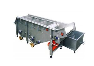 FRUIT WASHER FW-100